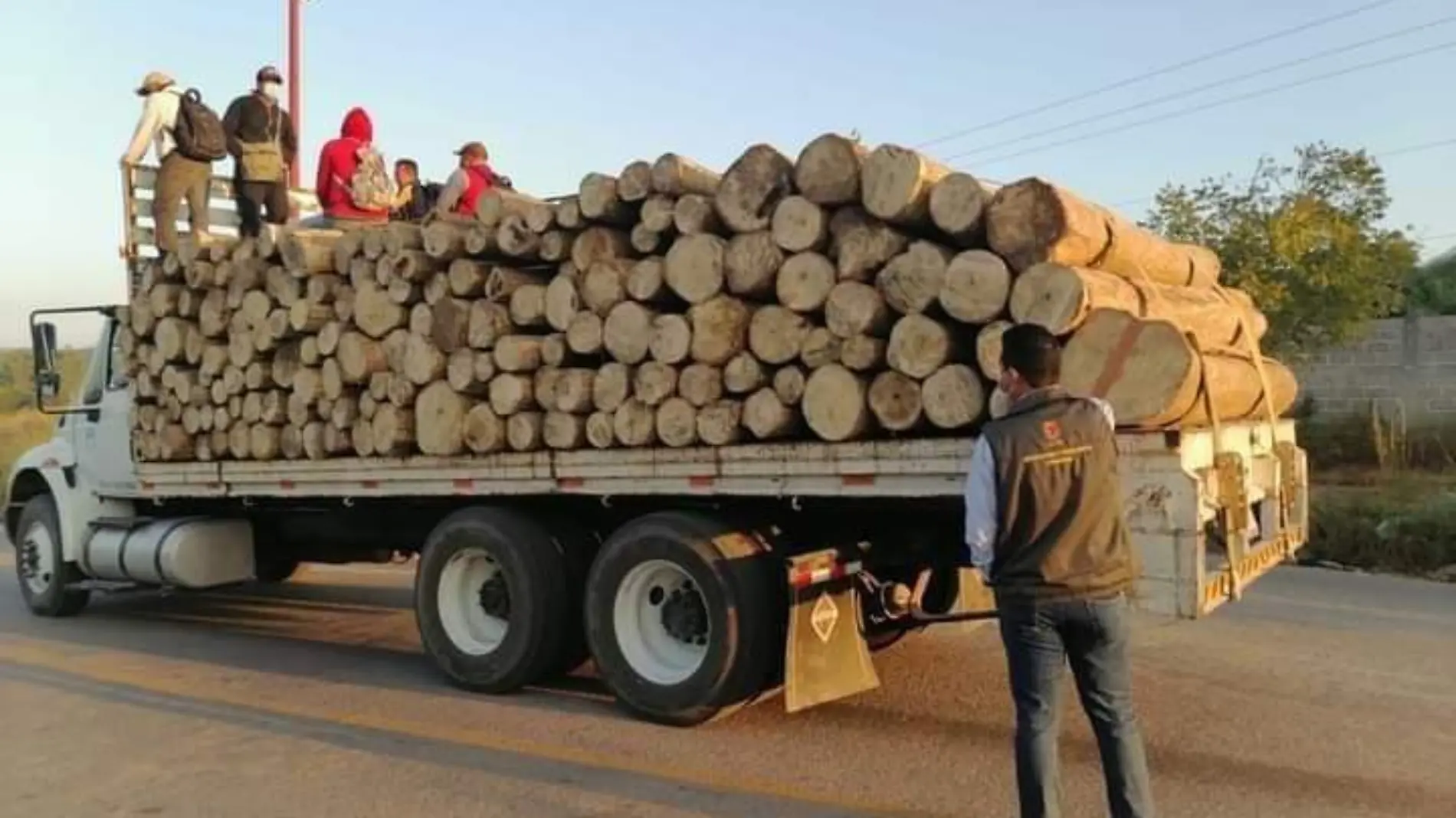 camion madera